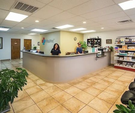 Story Road Animal Hospital