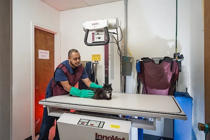 Story Road Animal Hospital Picture 9