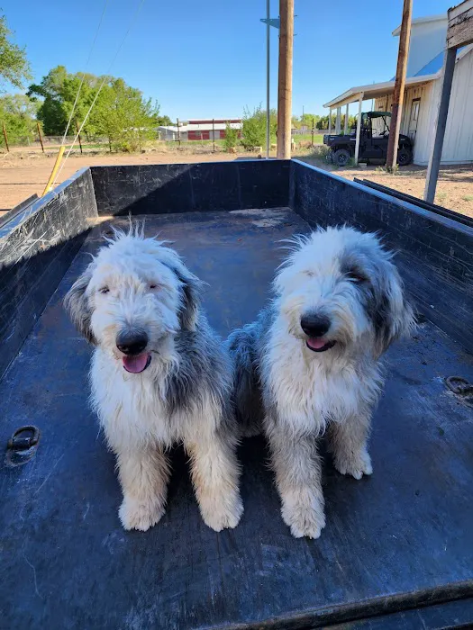 South Valley Animal Clinic Picture 7