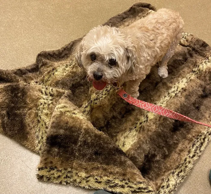 Taylor Ranch Veterinary Hospital Picture 1