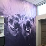 CityVet | Mid-Cities