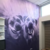 CityVet | Mid-Cities ico