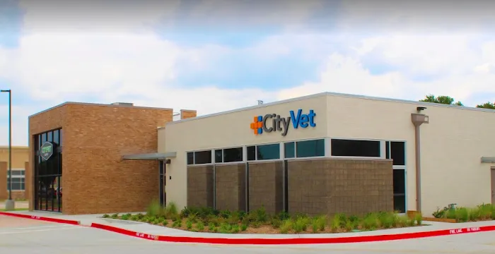 CityVet | Mid-Cities Picture 3