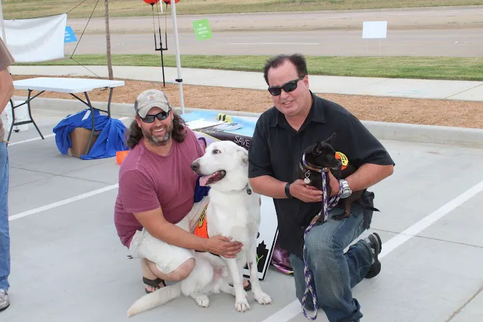 CityVet | Mid-Cities Picture 4