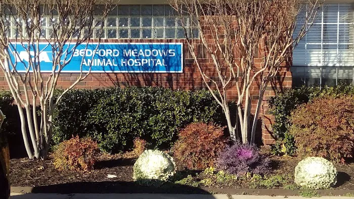VCA Bedford Meadows Animal Hospital Picture 5