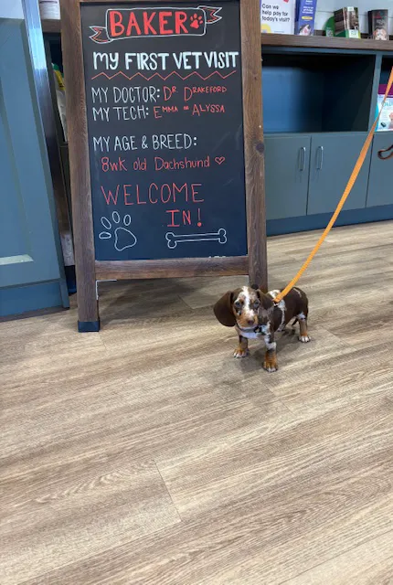 Bedford Oaks Family Vet Picture 2