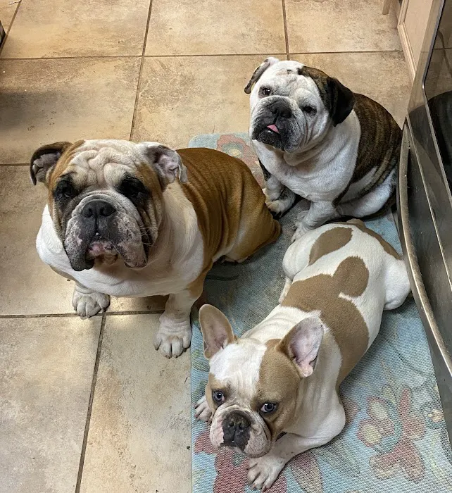 Bedford Oaks Family Vet Picture 9