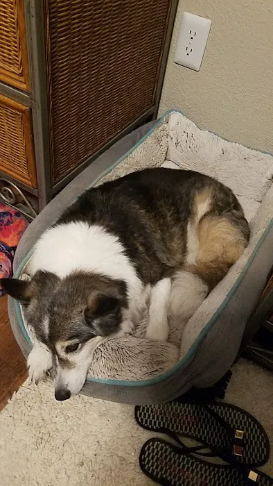 Banfield Pet Hospital Picture 5