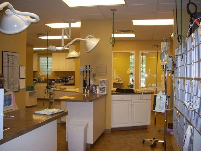 Hartland Cat Hospital Picture 3