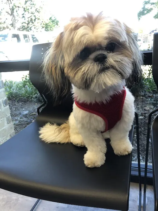 truBOND Veterinary Center Picture 5