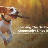 Brown Trail Animal Hospital ico