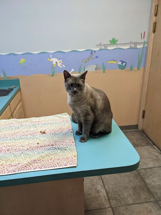 Tara Animal Hospital Picture 4