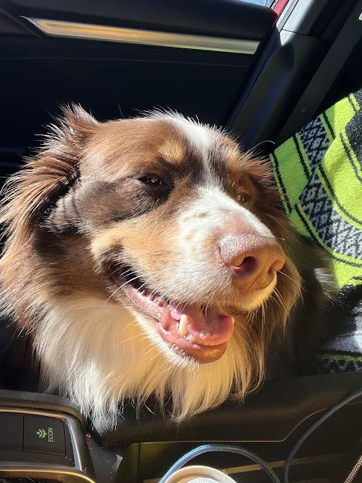 Tara Animal Hospital Picture 10