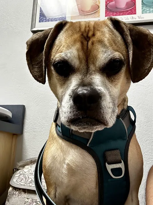 Tara Animal Hospital Picture 8
