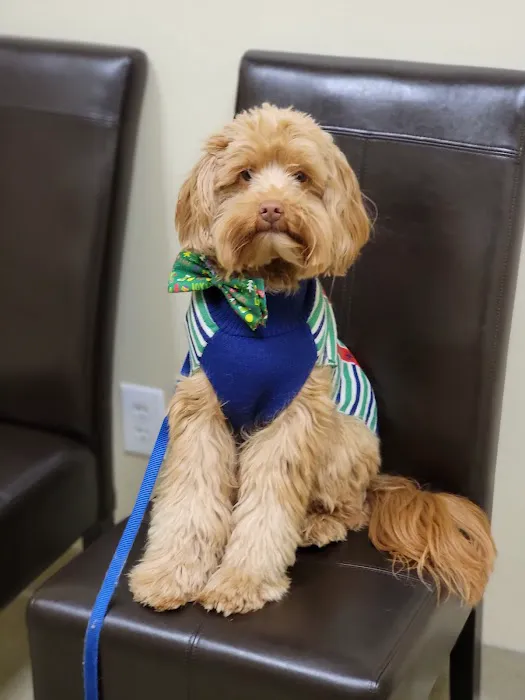 Towne Center Animal Hospital and Pet Hotel Picture 2