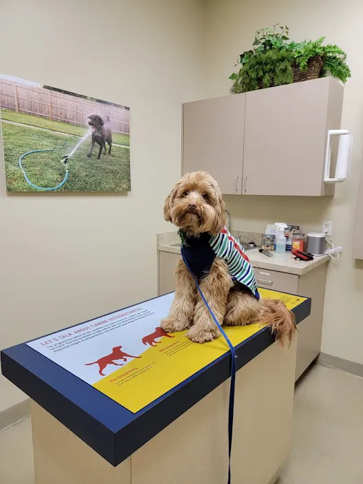 Towne Center Animal Hospital and Pet Hotel Picture 8