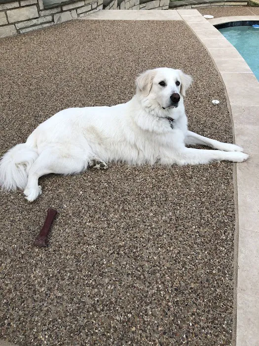 Colleyville Animal Clinic Picture 3