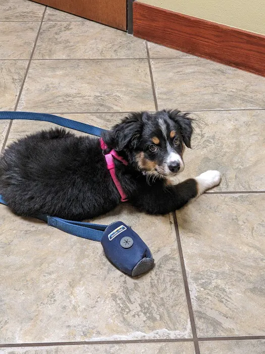 Colleyville Animal Clinic Picture 8