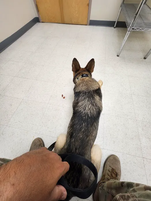 TLC Pet Hospital Picture 1