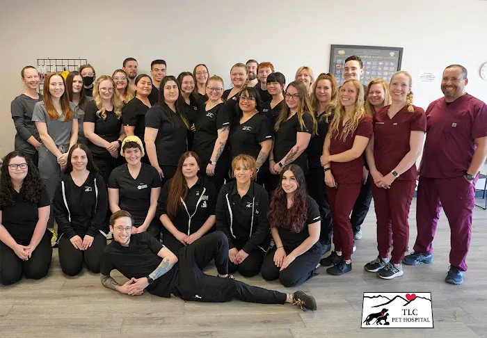 TLC Pet Hospital Picture 3