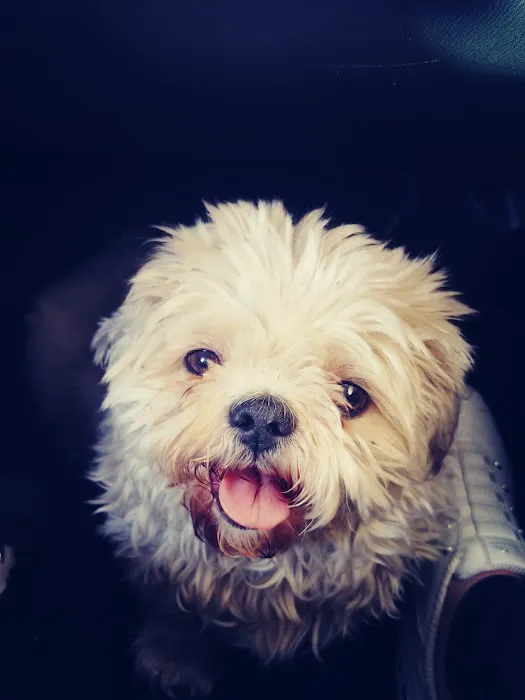 TLC Pet Hospital Picture 9