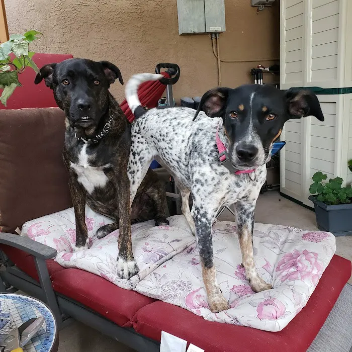 Sandia Animal Clinic Picture 2