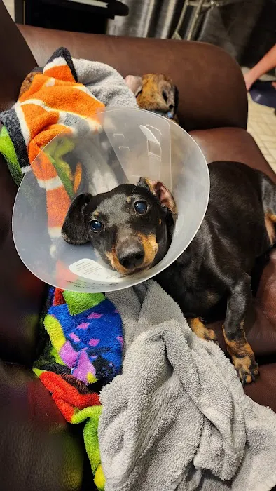 Sandia Animal Clinic Picture 1