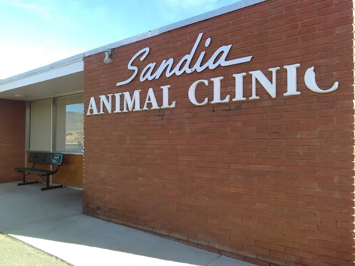 Sandia Animal Clinic Picture 7