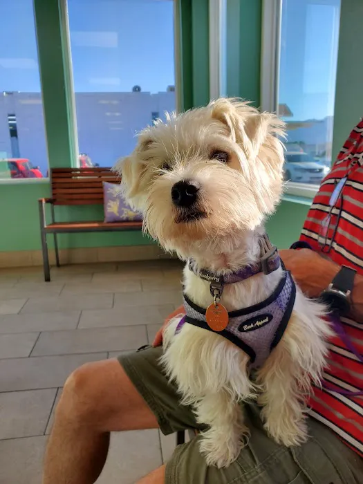 Eubank Animal Clinic Picture 6