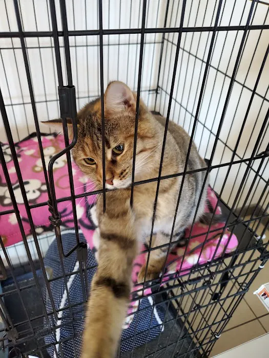 VCA Wyoming Animal Hospital Picture 4