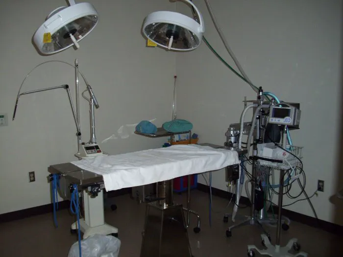 VCA Wyoming Animal Hospital Picture 8