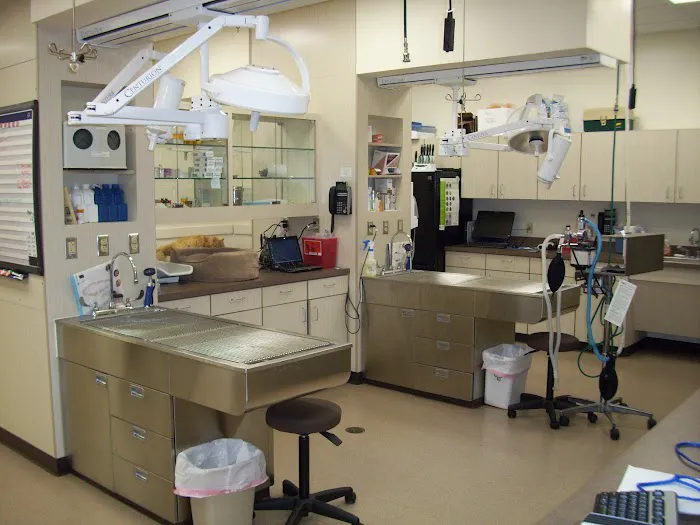 VCA Wyoming Animal Hospital Picture 7