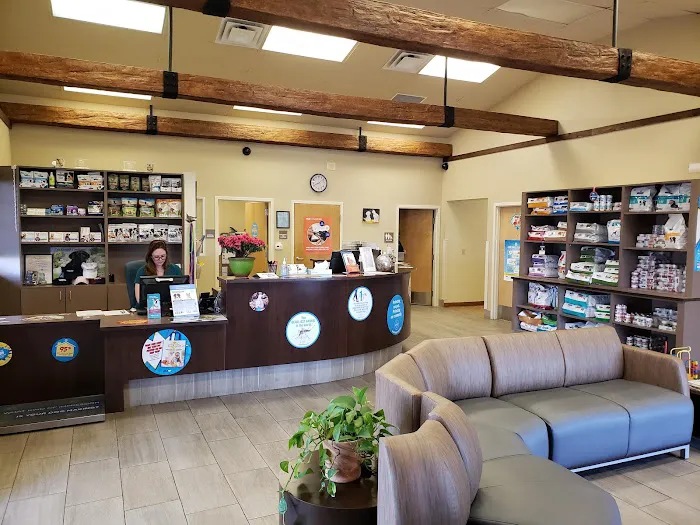 VCA Town and Country Animal Hospital Picture 1