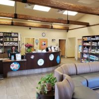 VCA Town and Country Animal Hospital ico
