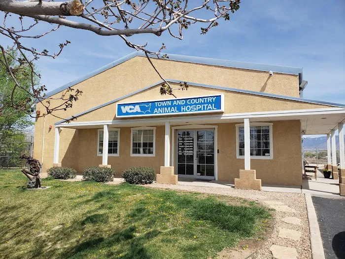 VCA Town and Country Animal Hospital Picture 2