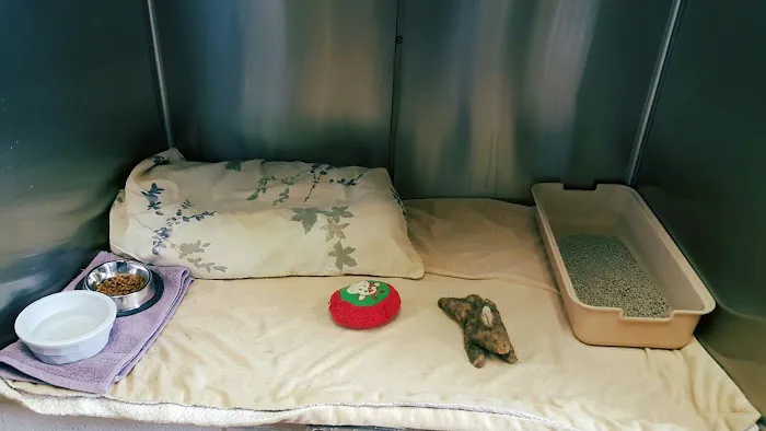 VCA Town and Country Animal Hospital Picture 3