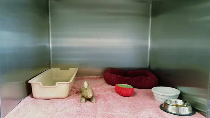 VCA Town and Country Animal Hospital Picture 4