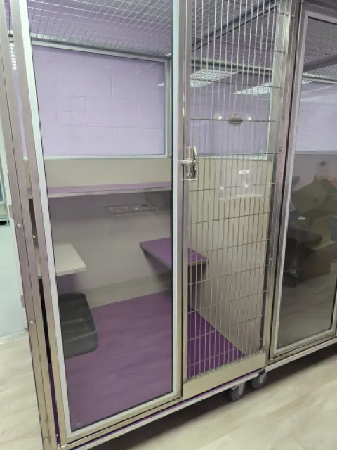 VCA Town and Country Animal Hospital Picture 8