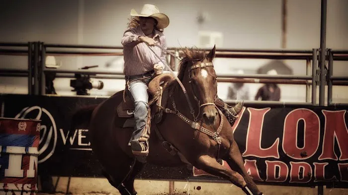Chastain Equine Medicine Picture 1