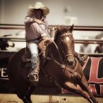 Chastain Equine Medicine