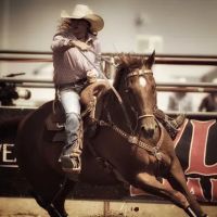 Chastain Equine Medicine ico
