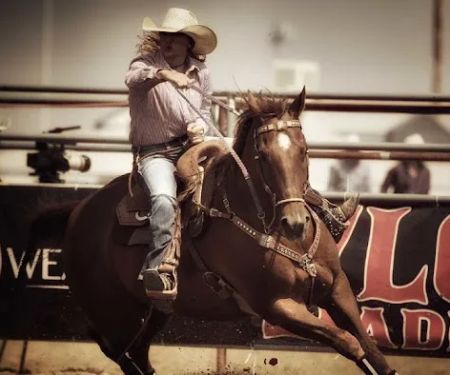Chastain Equine Medicine