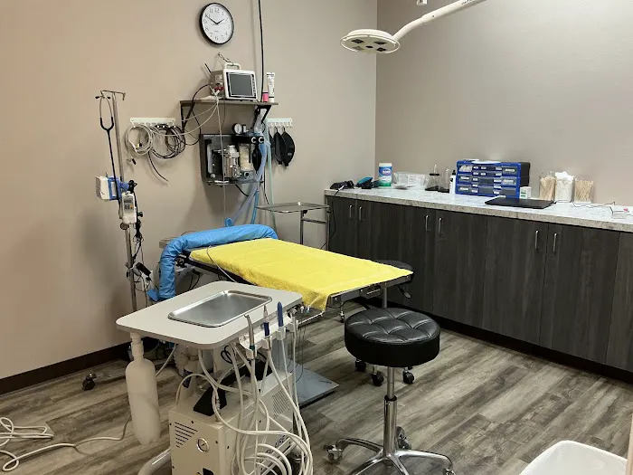 Urgent Veterinary Surgical Suites Picture 1