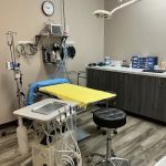 Urgent Veterinary Surgical Suites