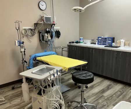 Urgent Veterinary Surgical Suites