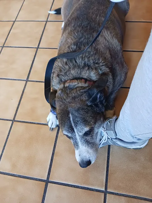 Northwest Animal Clinic & Hospital Picture 3