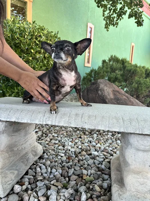 Northwest Animal Clinic & Hospital Picture 9