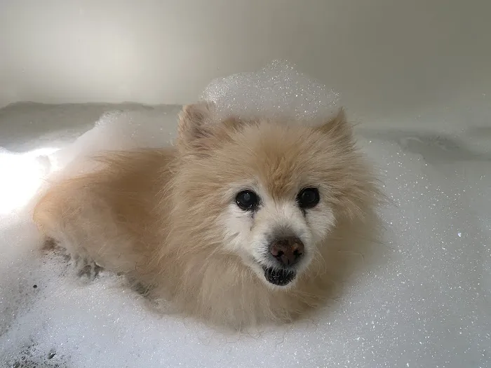 Banfield Pet Hospital Picture 2