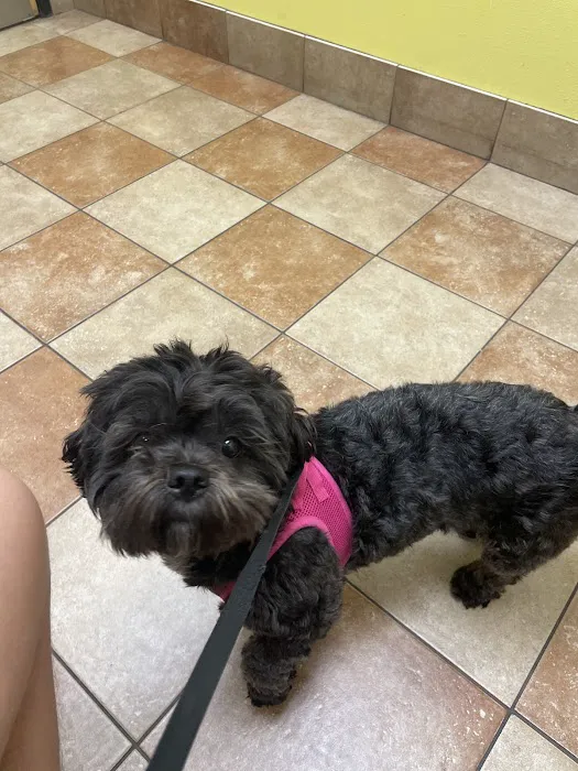 Banfield Pet Hospital Picture 9