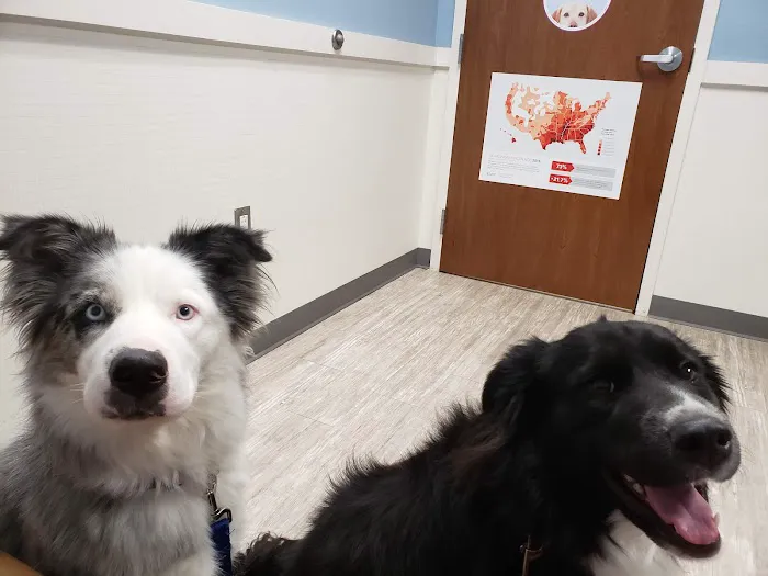 Southwest Veterinary Medical Center Picture 1